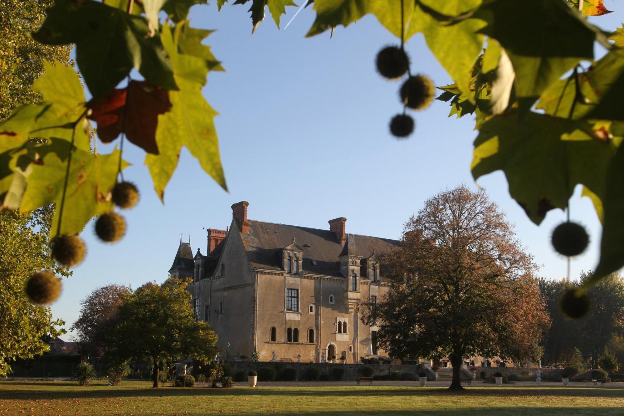 Chateau De La Verie Challans Exterior foto